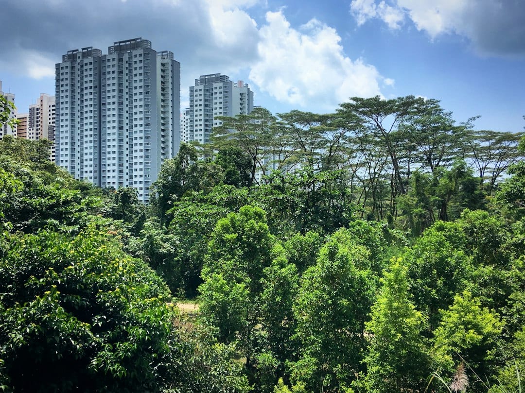 Kovan residential area with lush greenery and homes